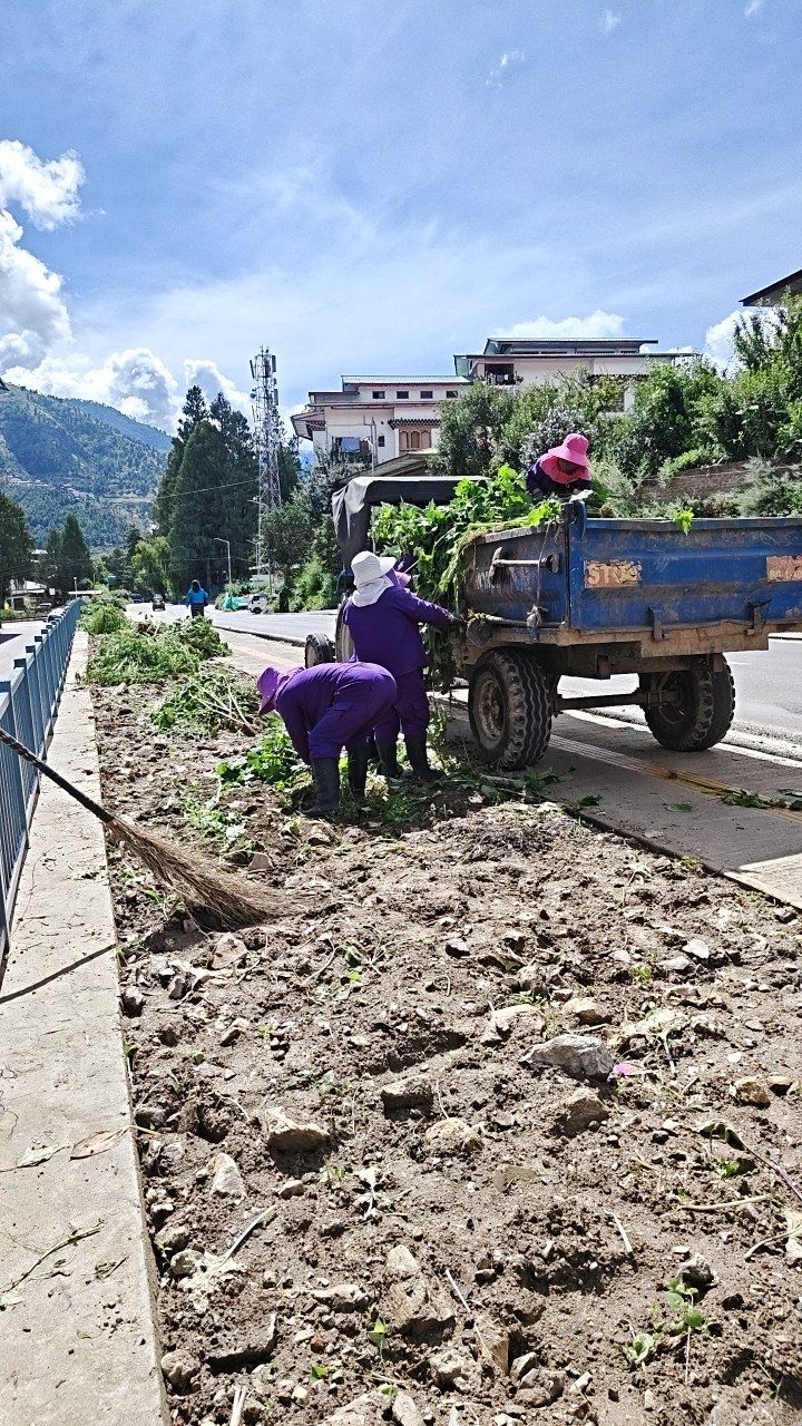 During cleaning photo