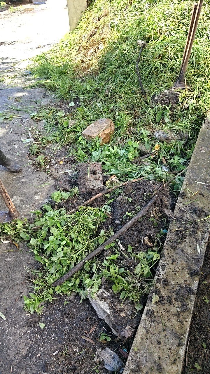 Before cleaning photo