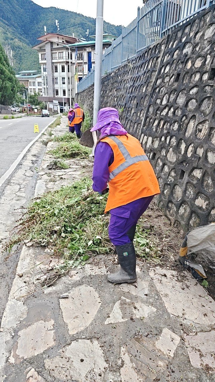 During cleaning photo