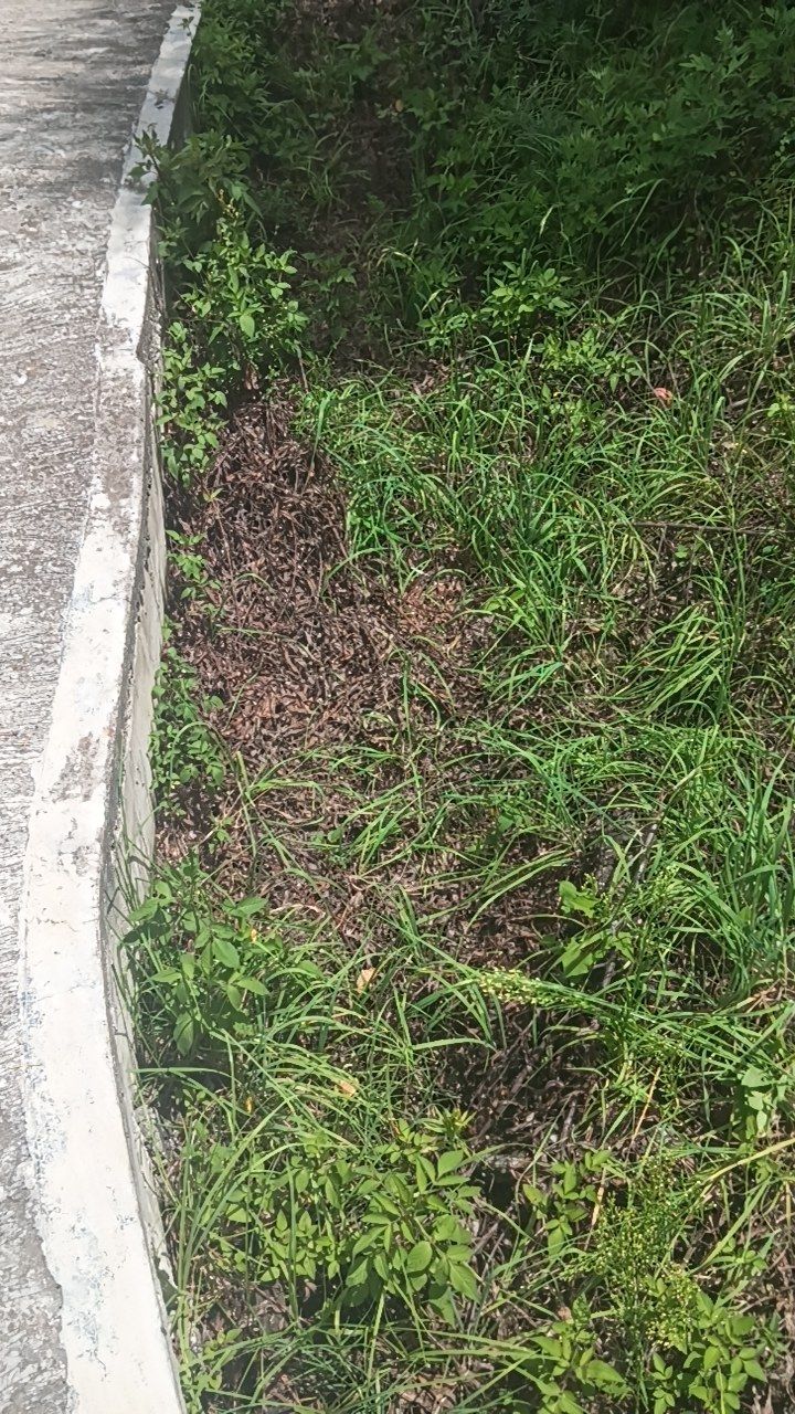 After cleaning photo