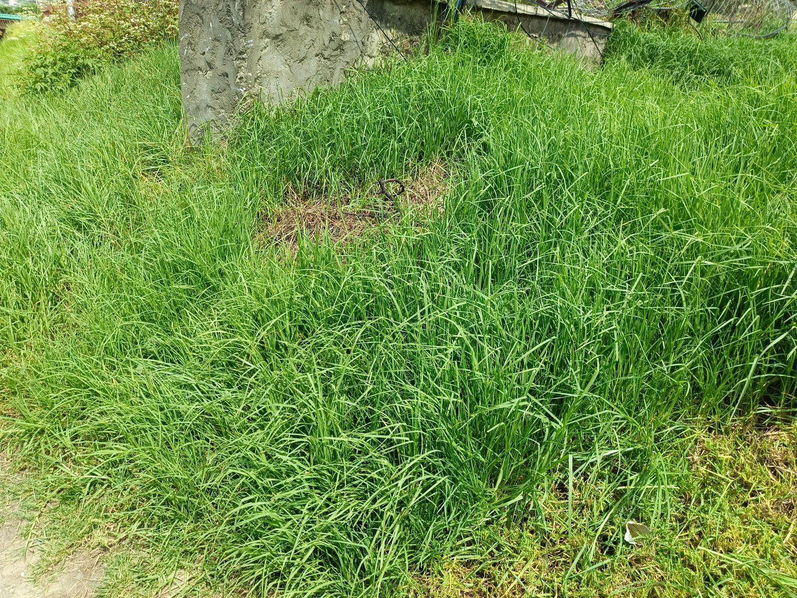 Before cleaning photo