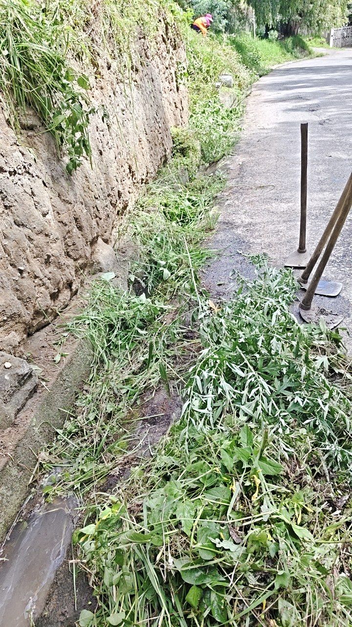 Before cleaning photo