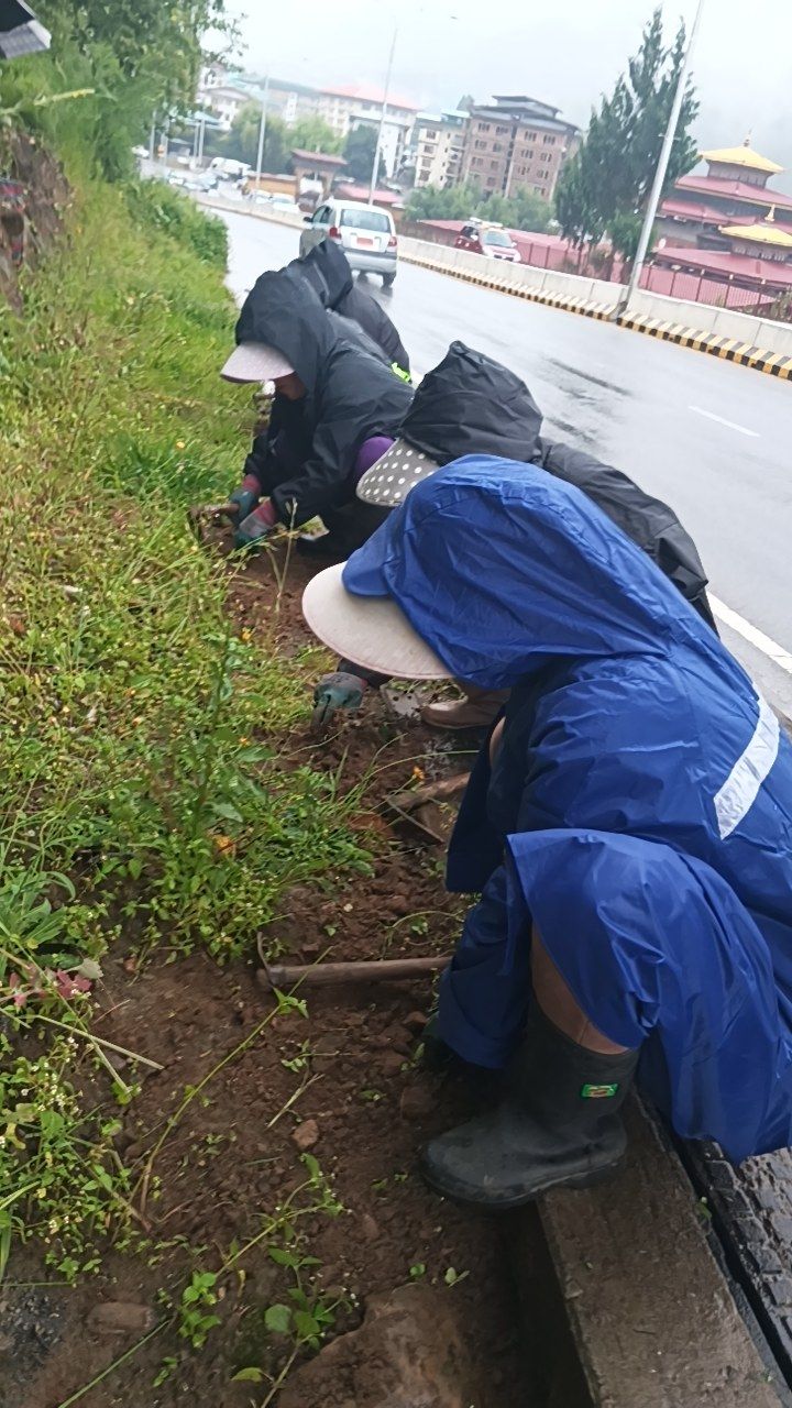 During cleaning photo