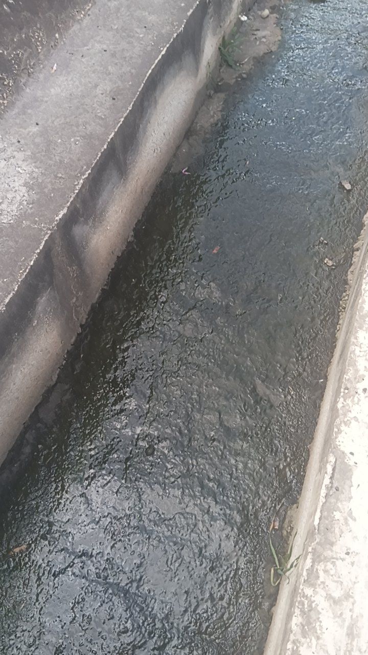 After cleaning photo