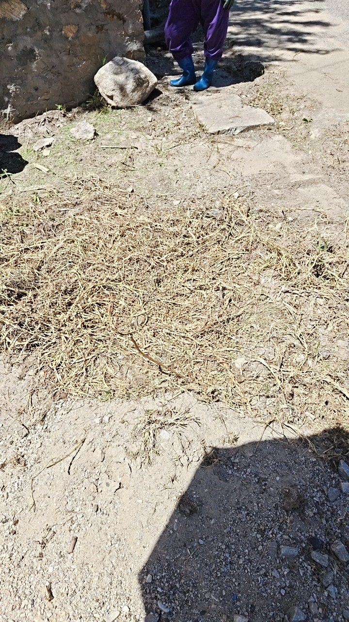Before cleaning photo
