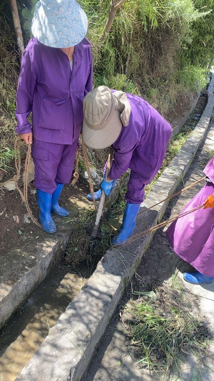 During cleaning photo