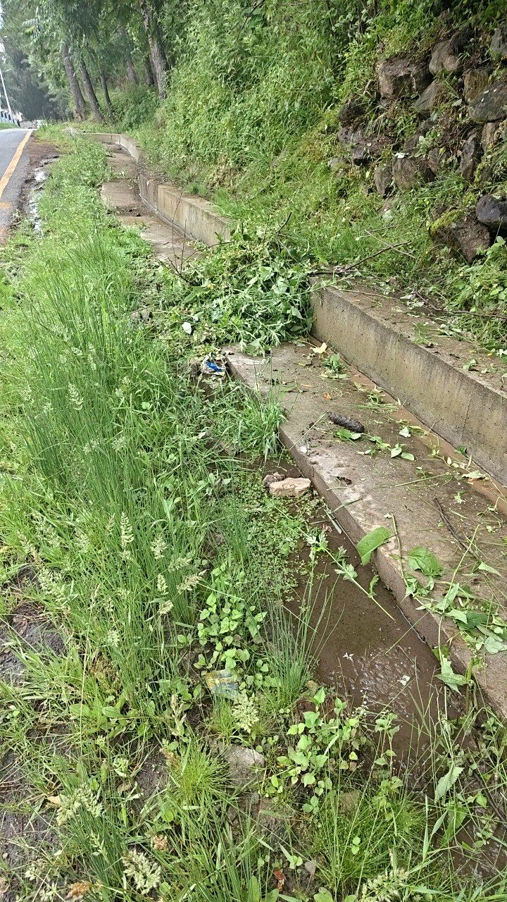 Before cleaning photo