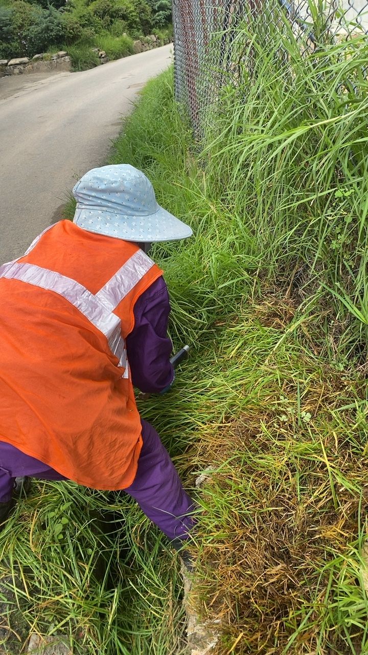 During cleaning photo