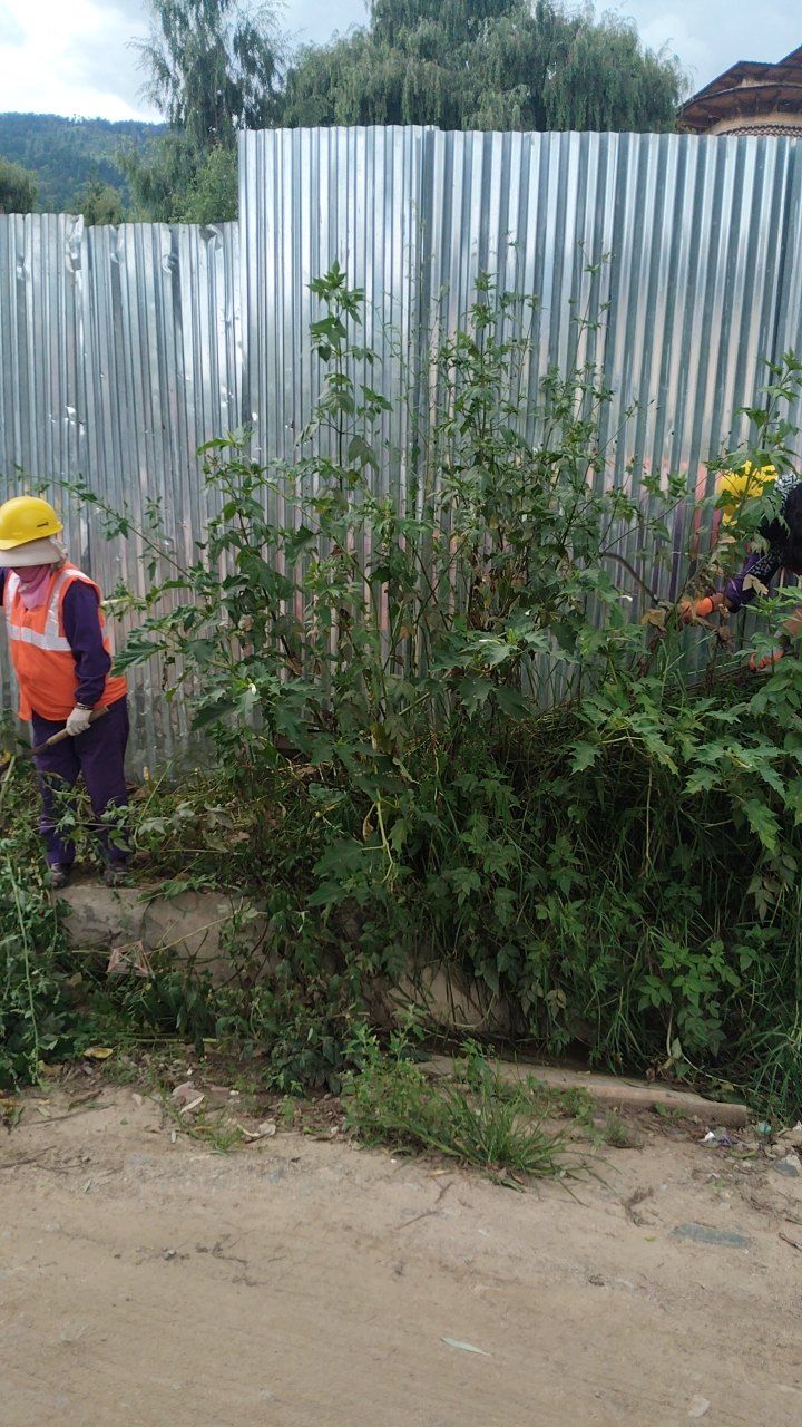 After cleaning photo