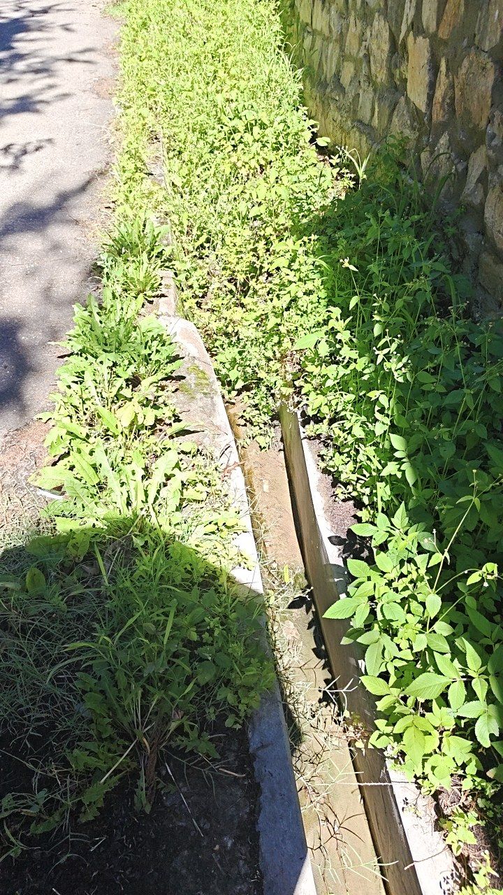 Before cleaning photo
