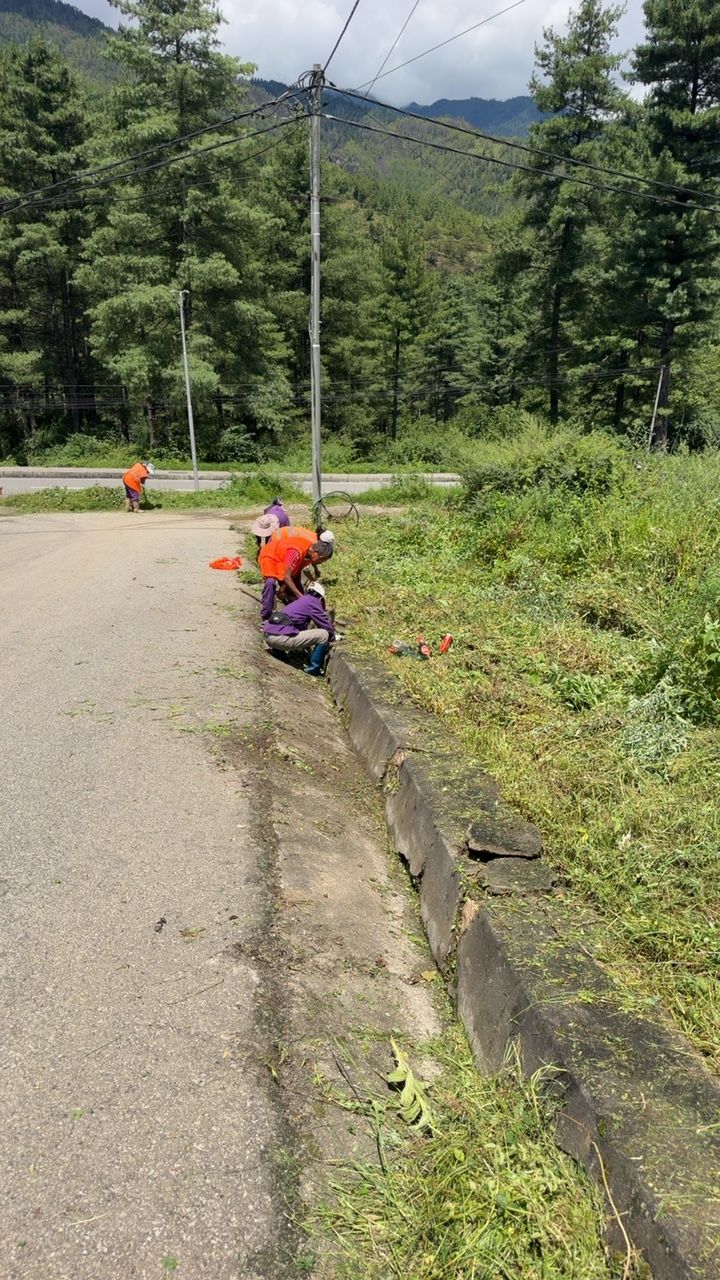 During cleaning photo