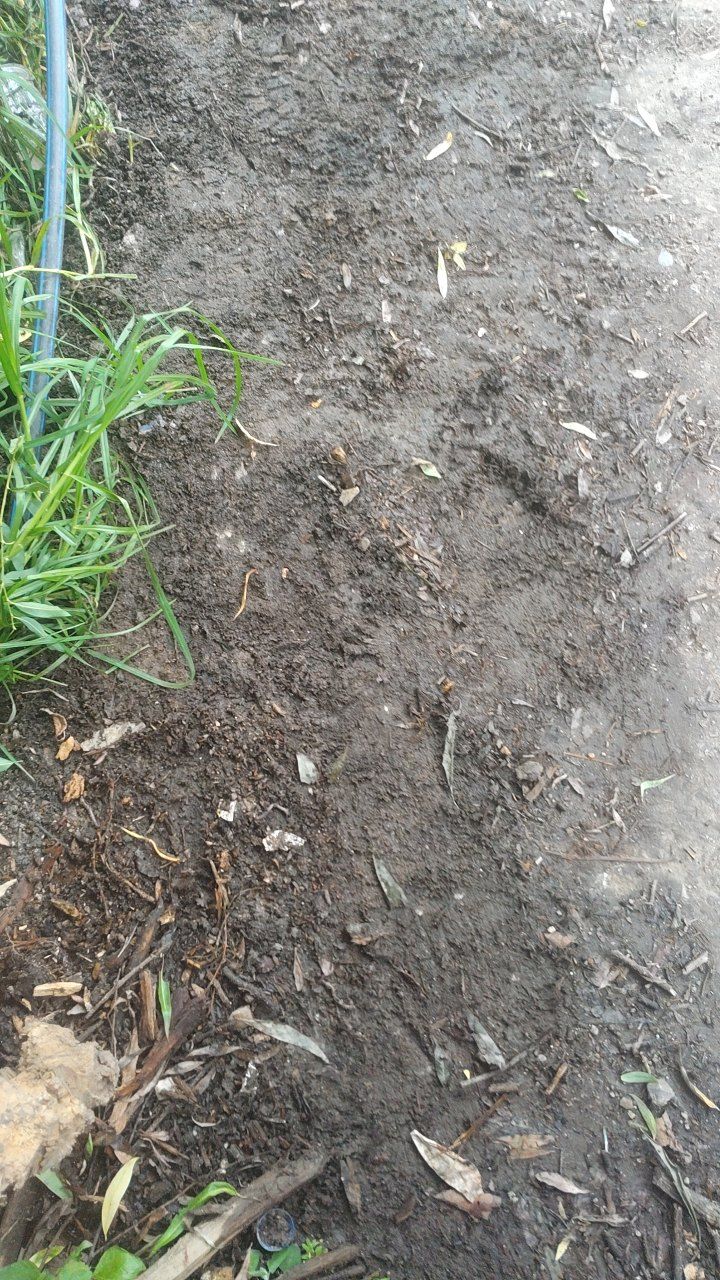 After cleaning photo