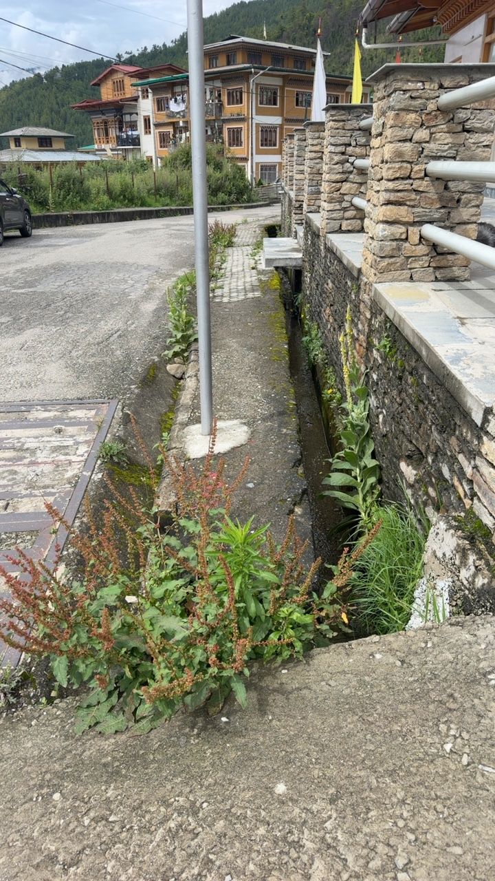 Before cleaning photo