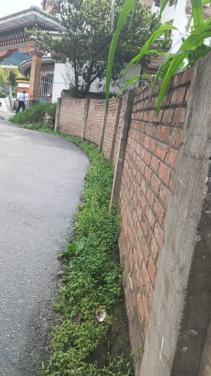 Before cleaning photo