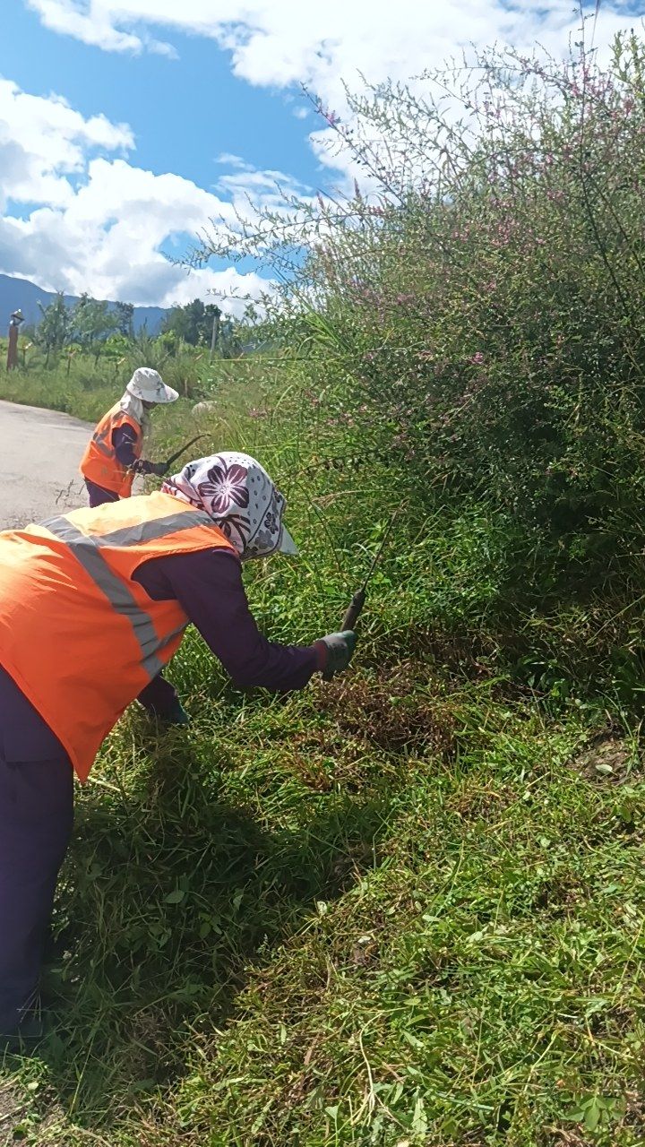 During cleaning photo