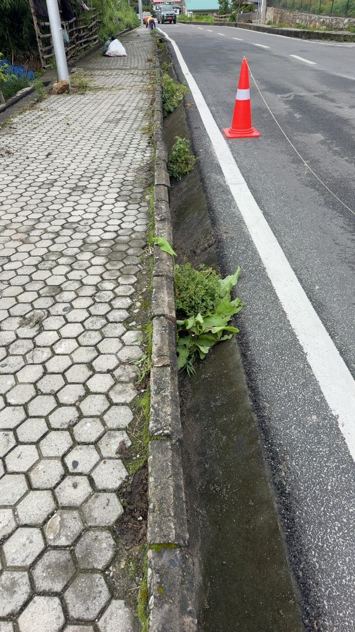 Before cleaning photo