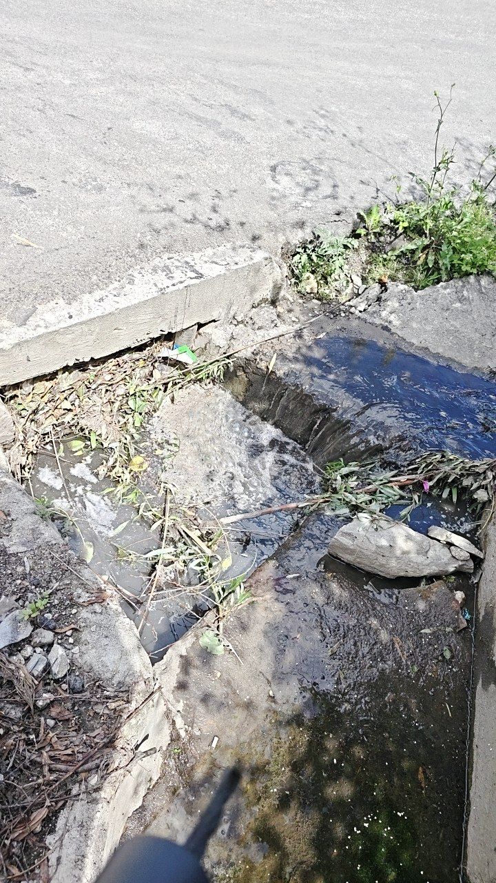 Before cleaning photo