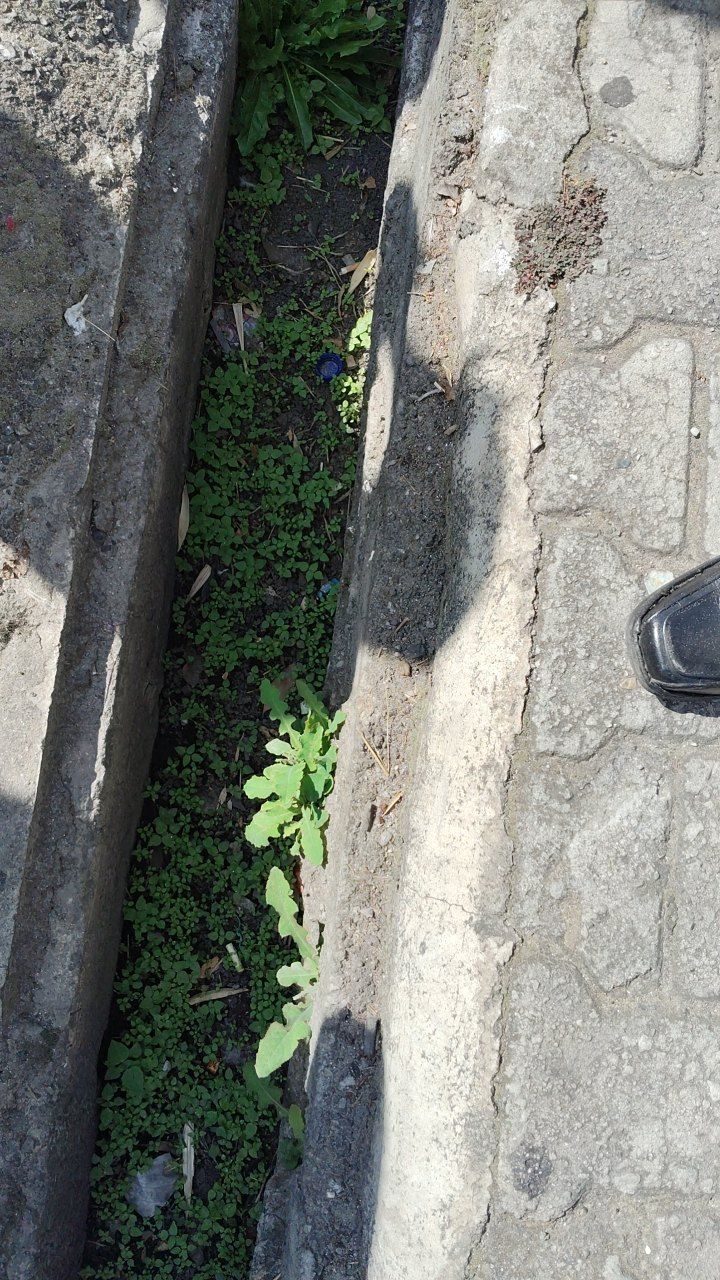 After cleaning photo