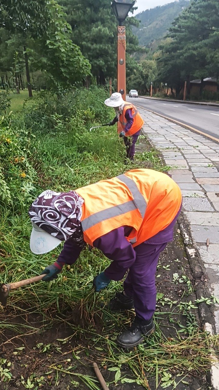 During cleaning photo