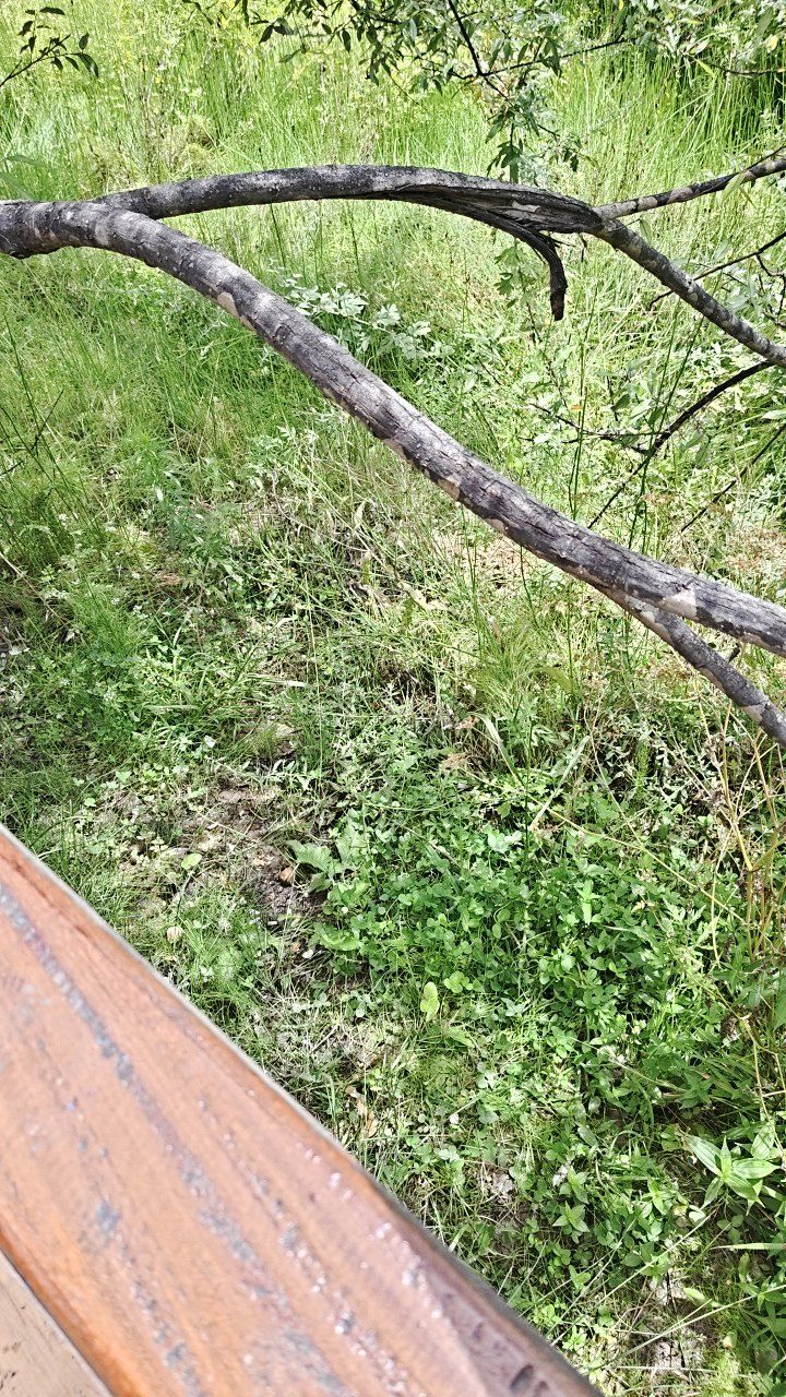 After cleaning photo