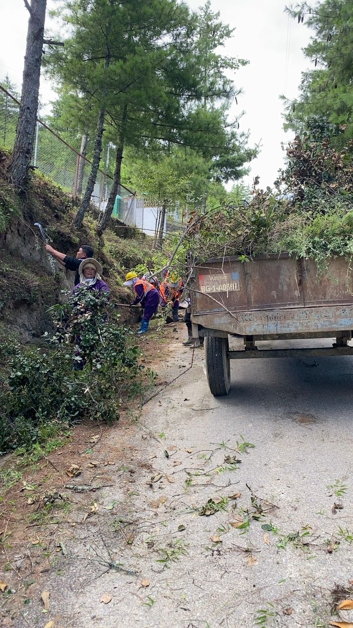 During cleaning photo