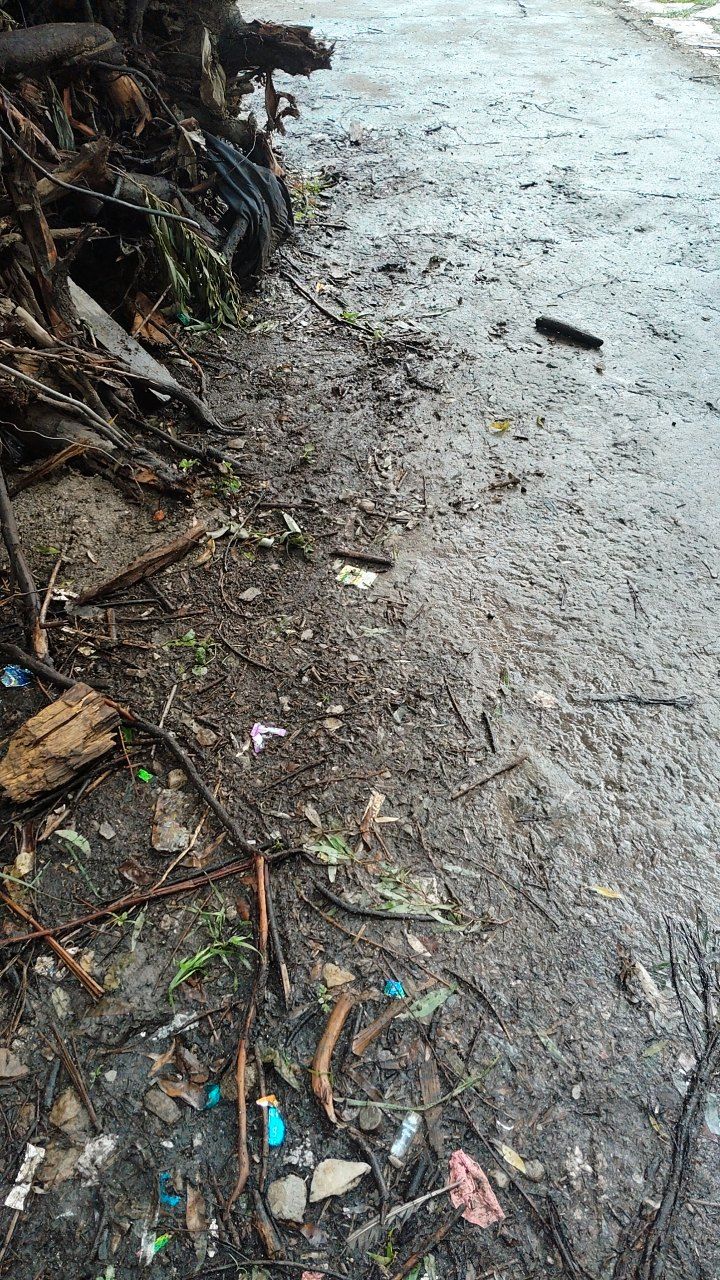 After cleaning photo
