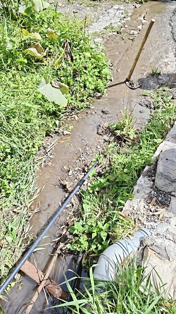 Before cleaning photo
