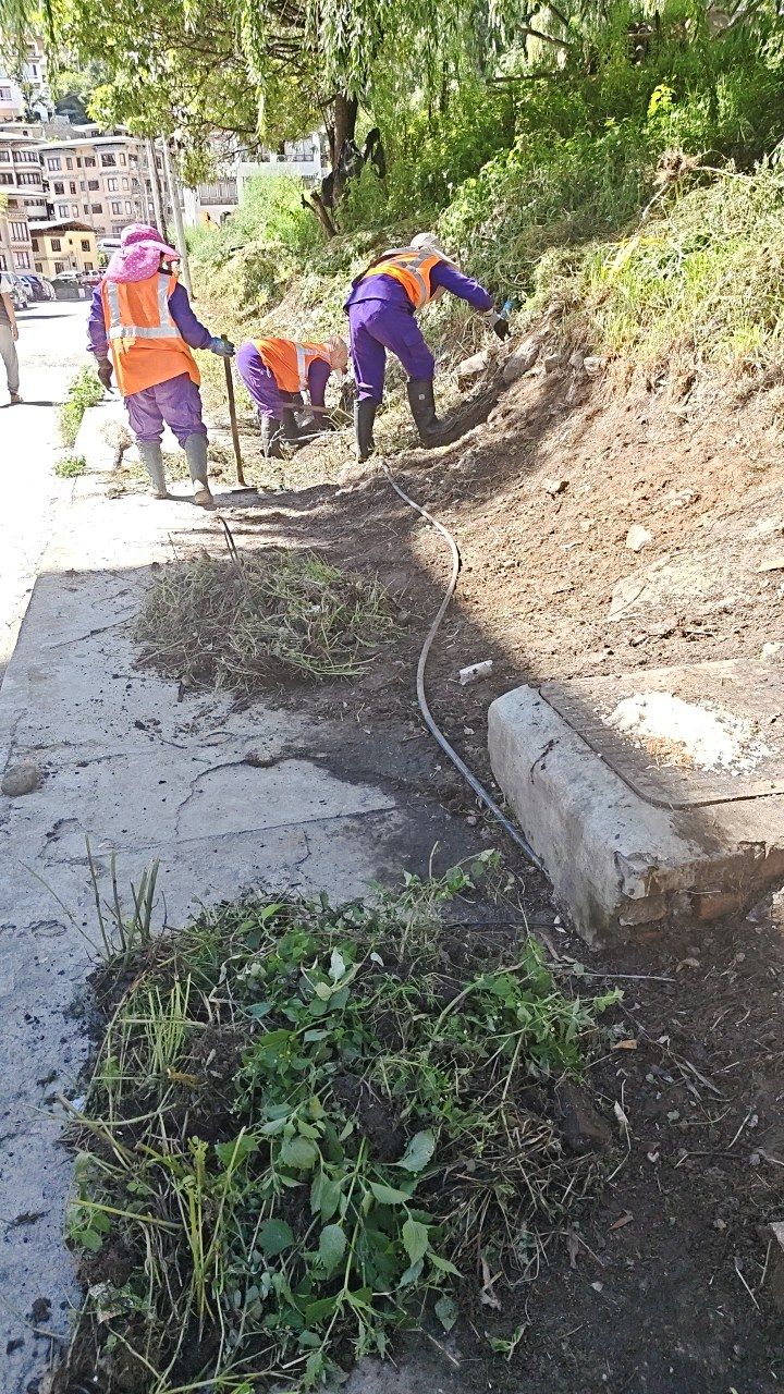 During cleaning photo