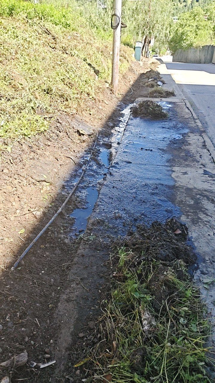 After cleaning photo