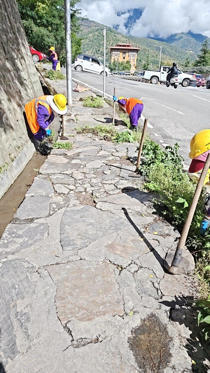 During cleaning photo