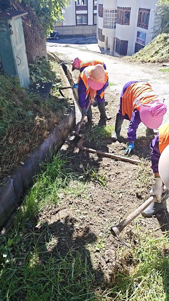 During cleaning photo