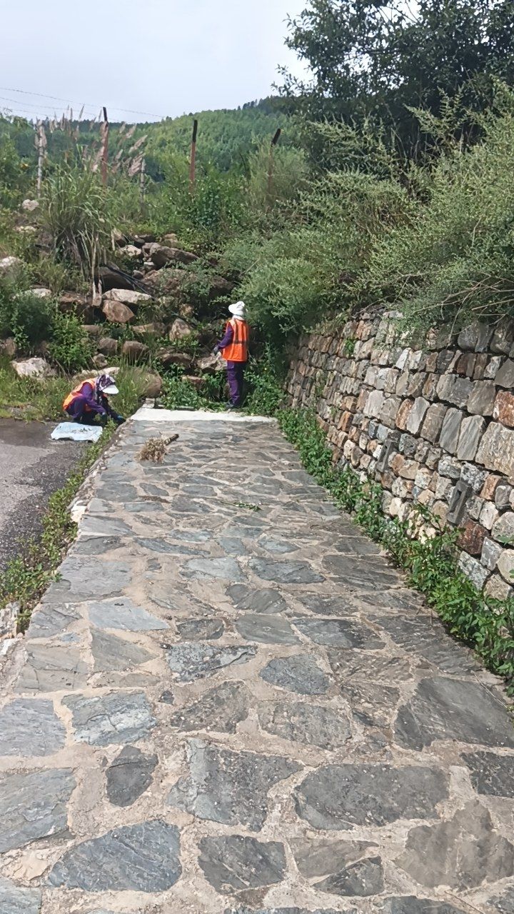 During cleaning photo