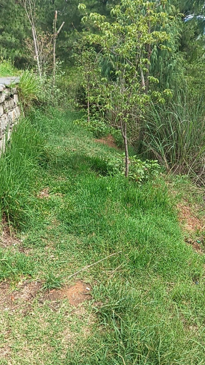 After cleaning photo