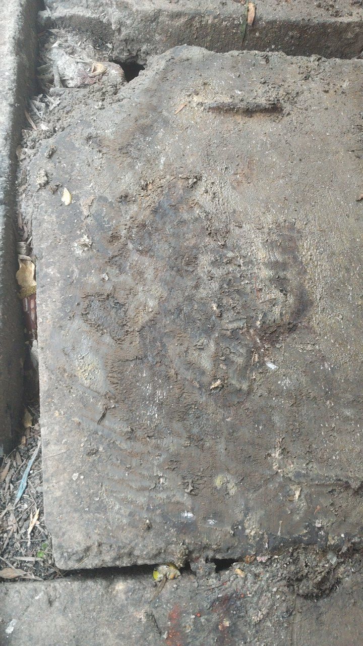 After cleaning photo