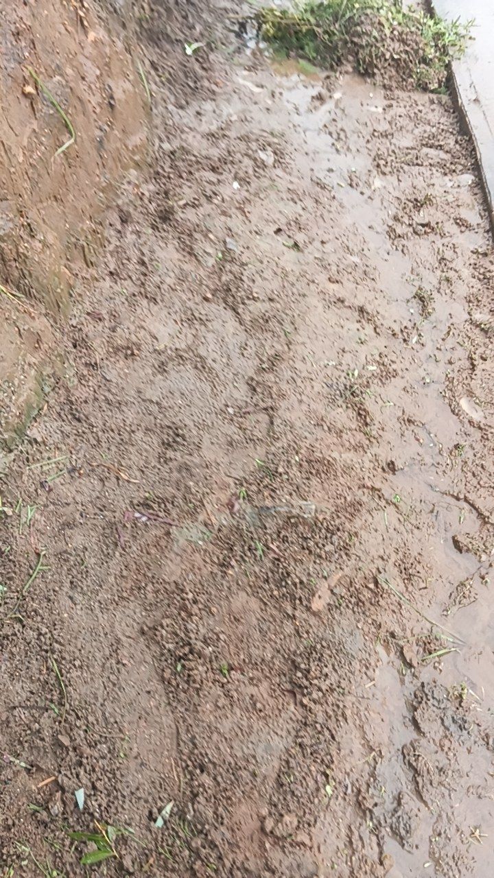 After cleaning photo