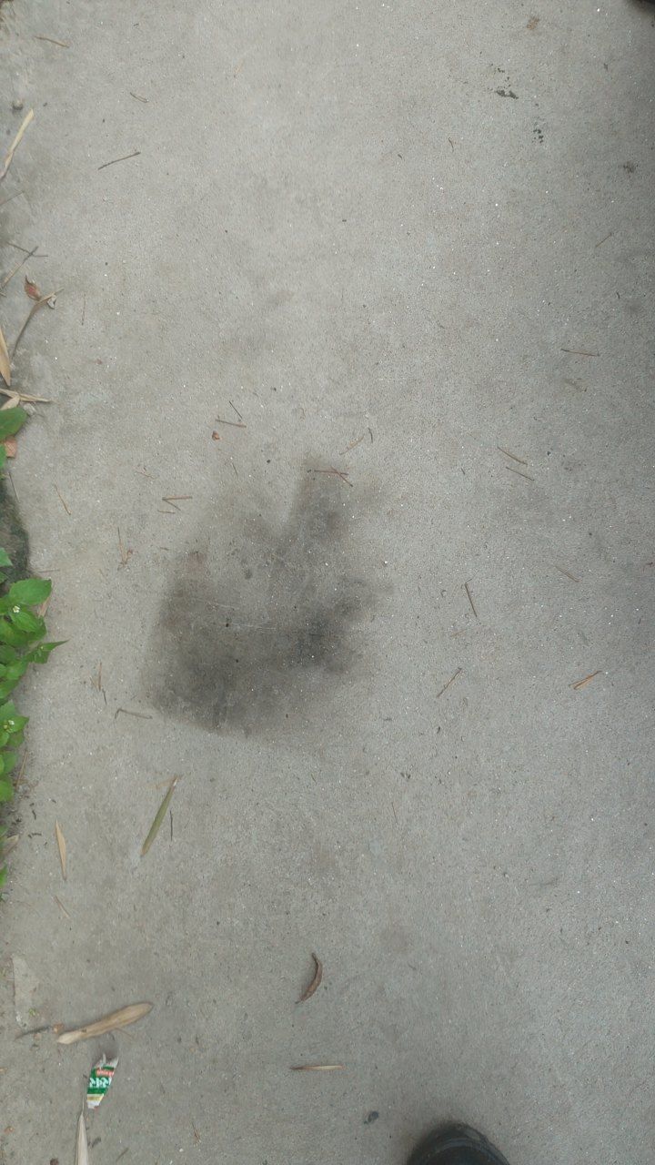 After cleaning photo