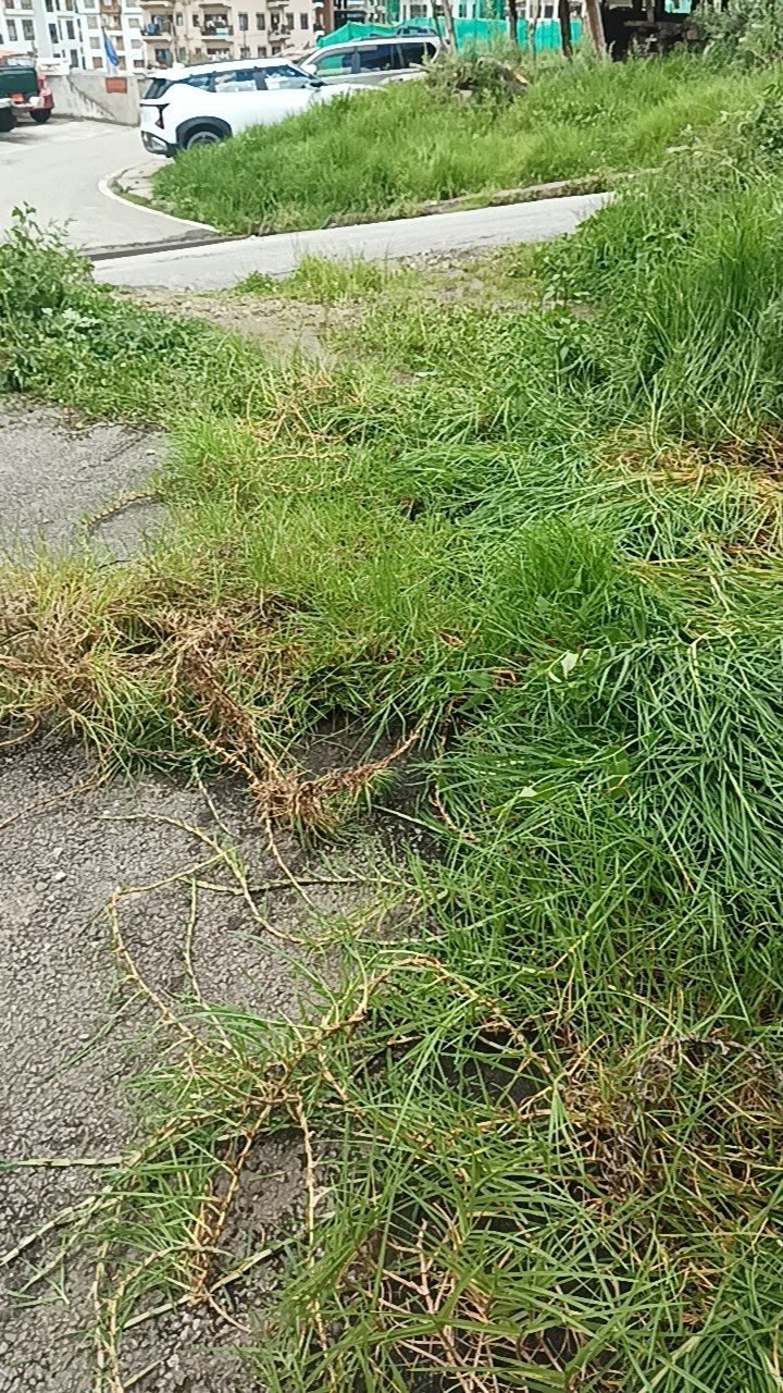 Before cleaning photo