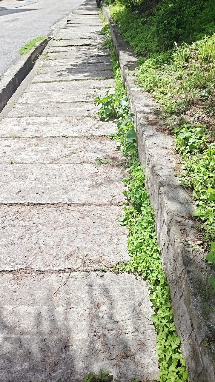 Before cleaning photo