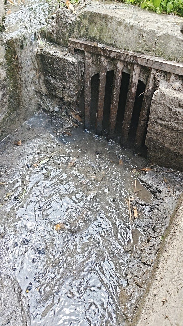 After cleaning photo