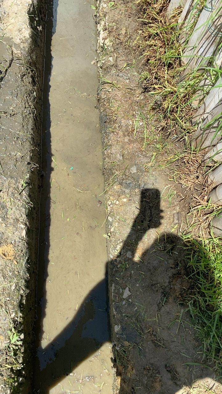 After cleaning photo