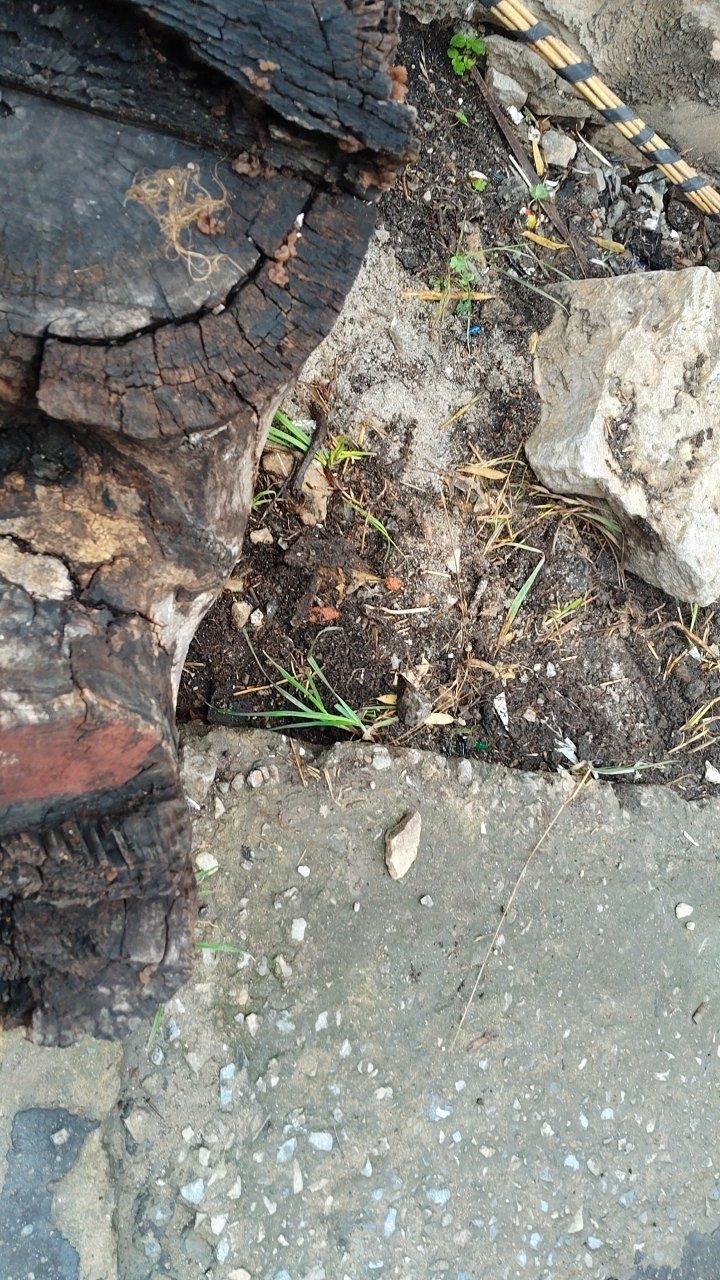 After cleaning photo