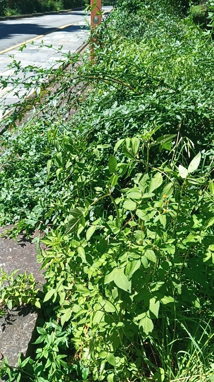 Before cleaning photo