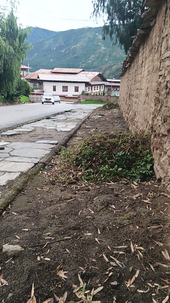 Before cleaning photo
