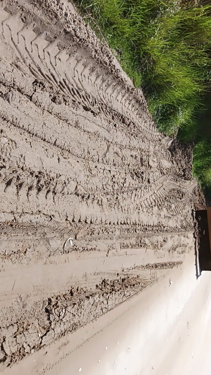 Before cleaning photo