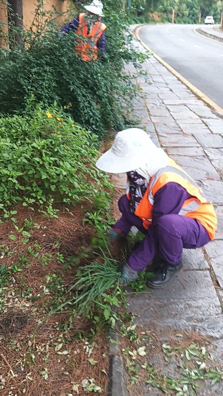 During cleaning photo