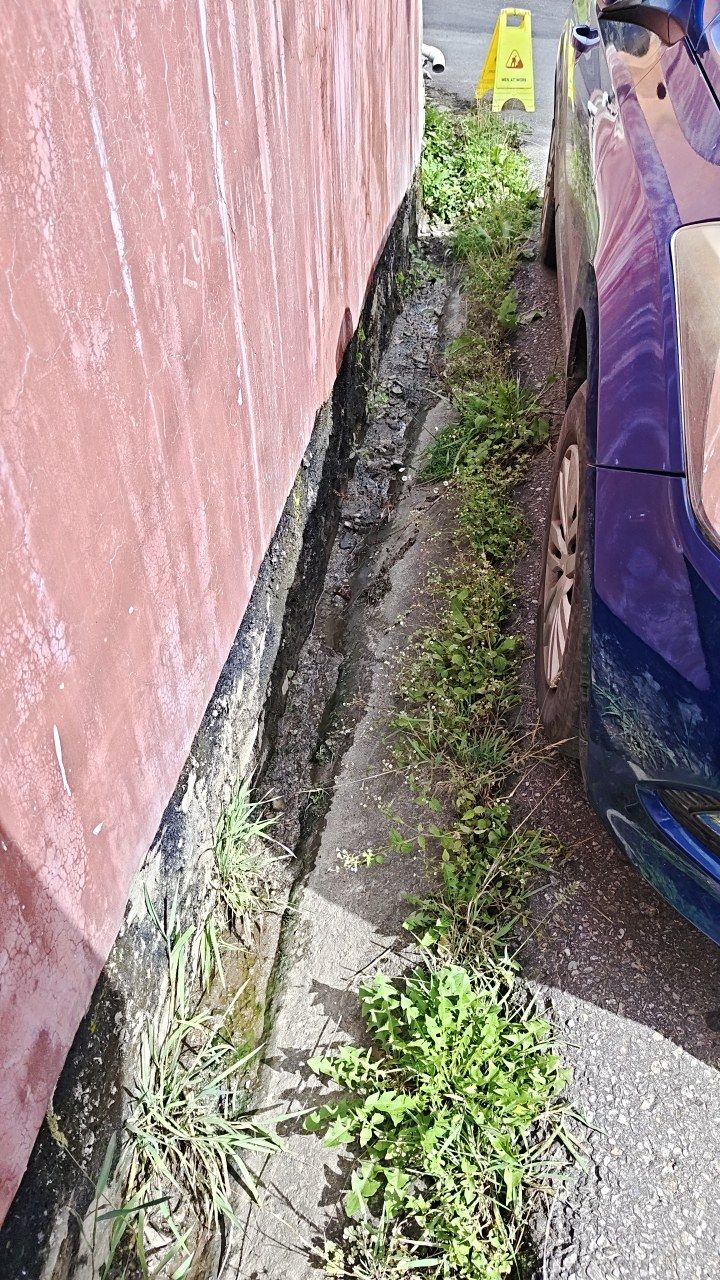 Before cleaning photo