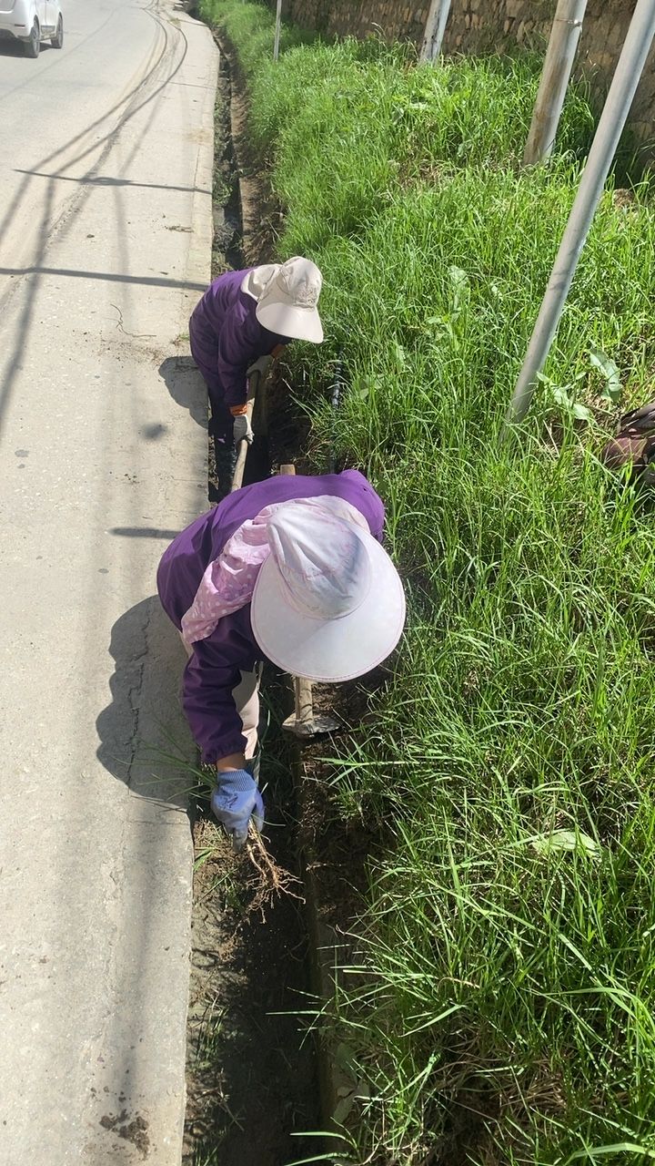 During cleaning photo