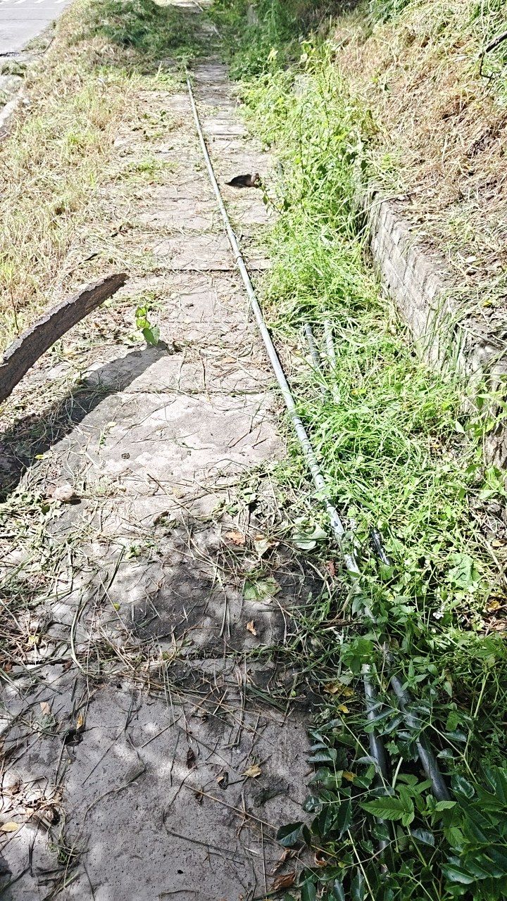 Before cleaning photo