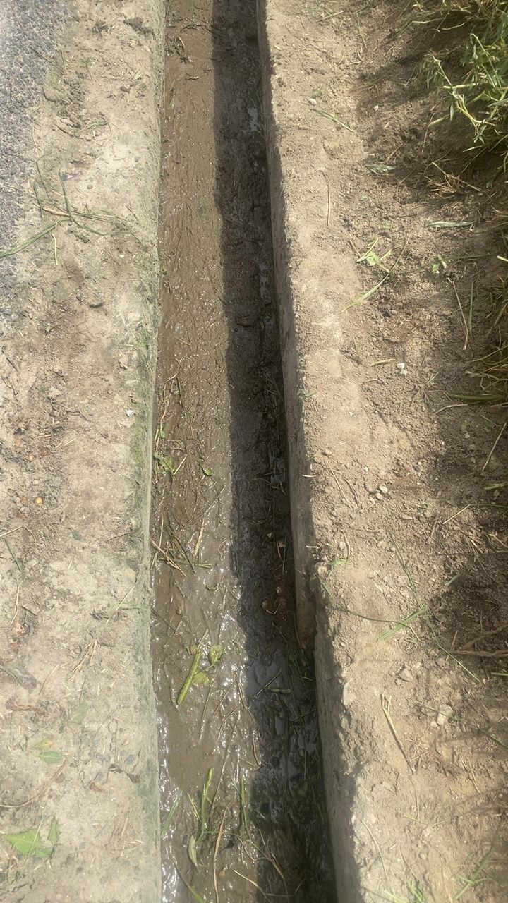 After cleaning photo