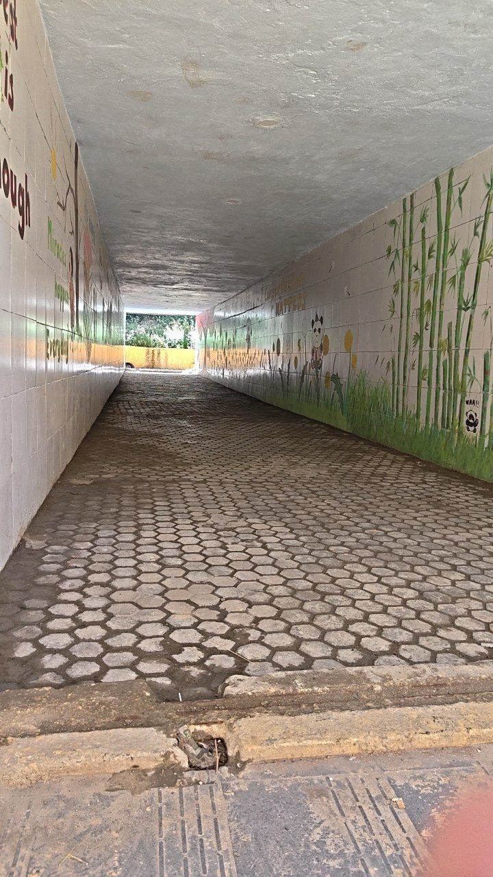 After cleaning photo